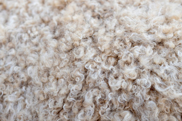 羊毛和蚕丝的区别